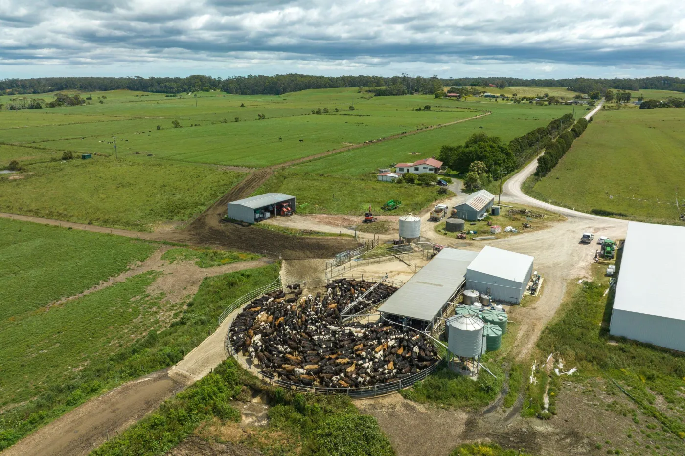 Farm insurance tasmania